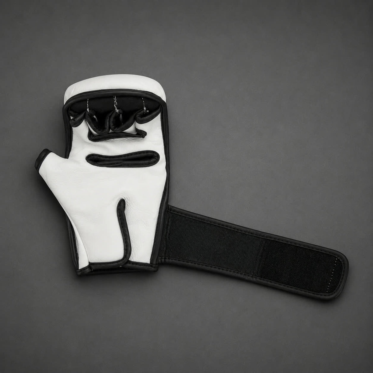 MMA Sparring Gloves