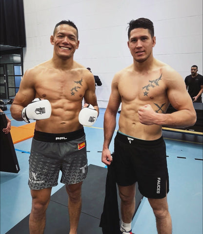 MMA Sparring Gloves