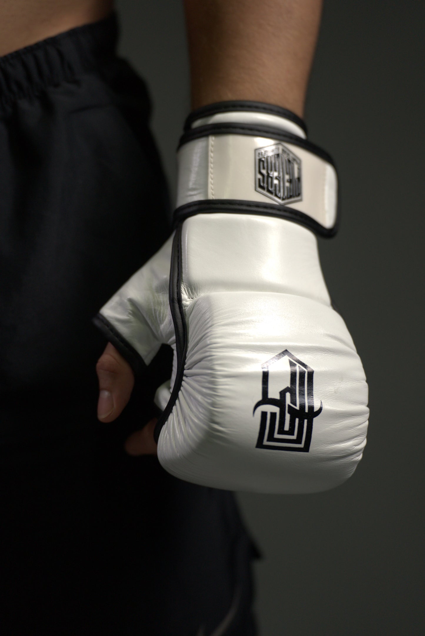 MMA sparring gloves white.