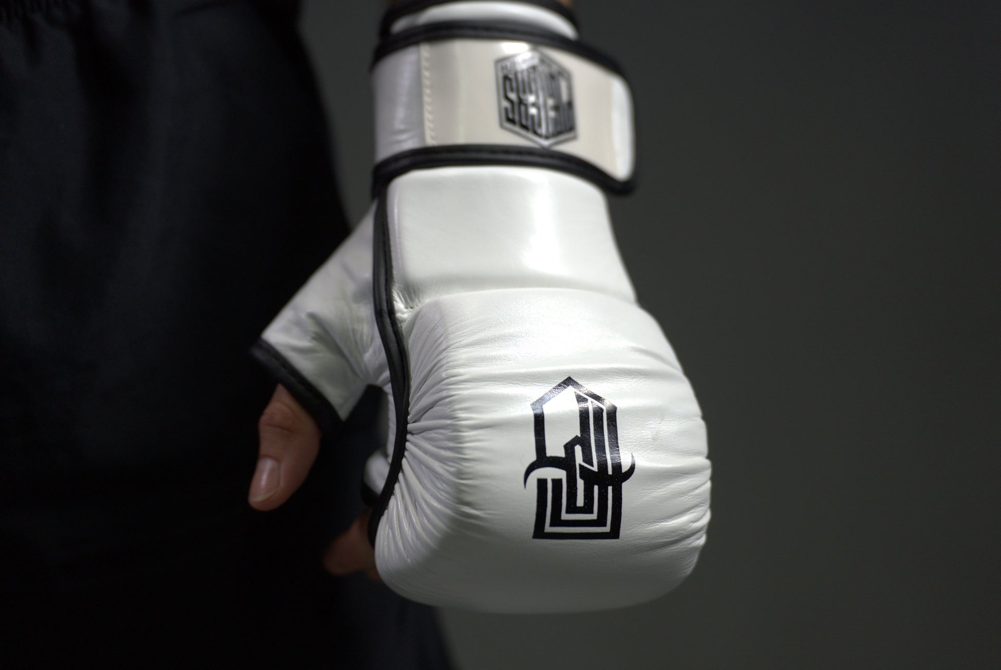 MMA sparring gloves white